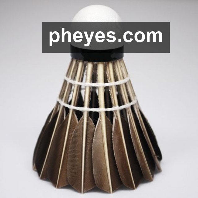 ayx体育app下载服务体系